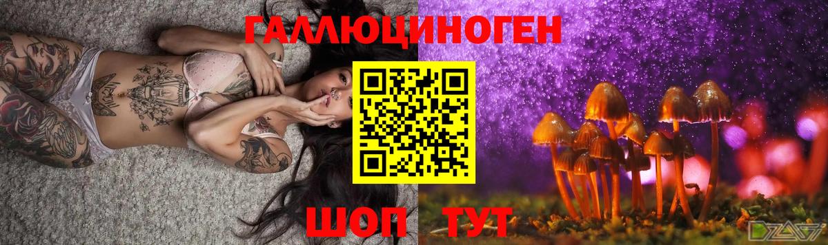 купить наркотики сайты  Вход с VPN  Богородицк  Галлюциногенные грибы Psilocybe  Псилоцибиновые грибы Psilocybe 